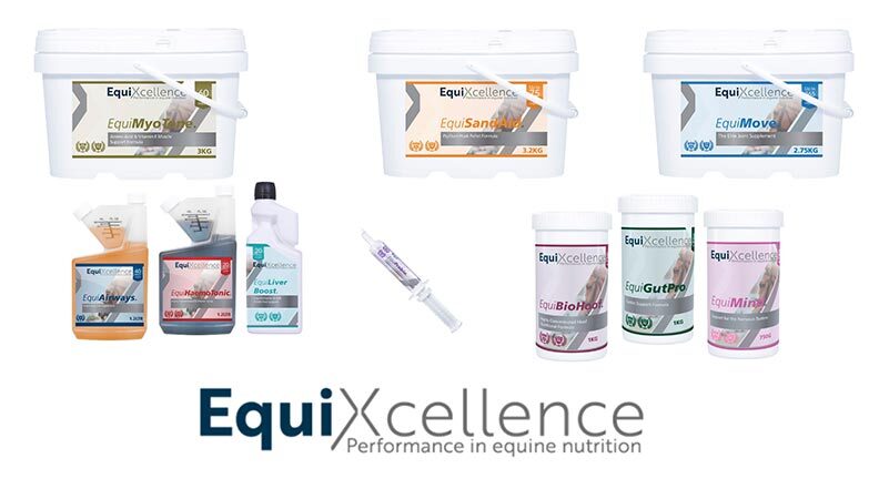EquiXcellence-Product-Group-(1).jpg