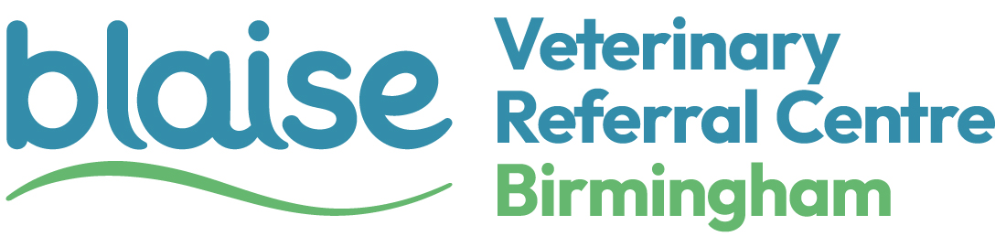 Blaise-Birmingham-Logo-RGB.jpg