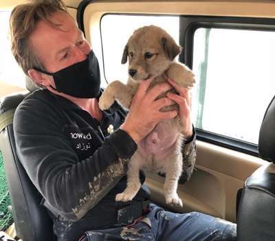 Nowzad-2-(1).jpg Nowzad-2-(1).jpg