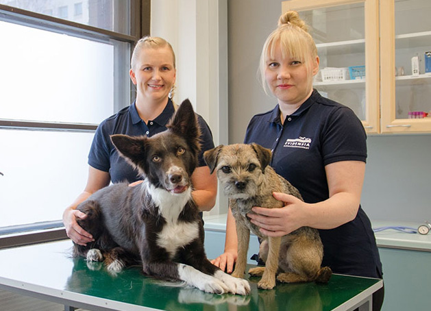 IVC-Group---New-247-Evidensia-Animal-Hospital-To-Open-In-Tampere_article_image_link