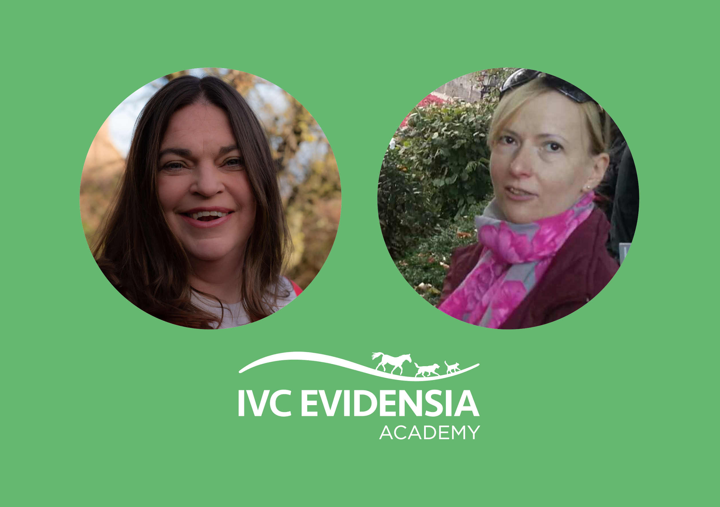 IVC Evidensia Bolsters Its Learning And Development Commitment