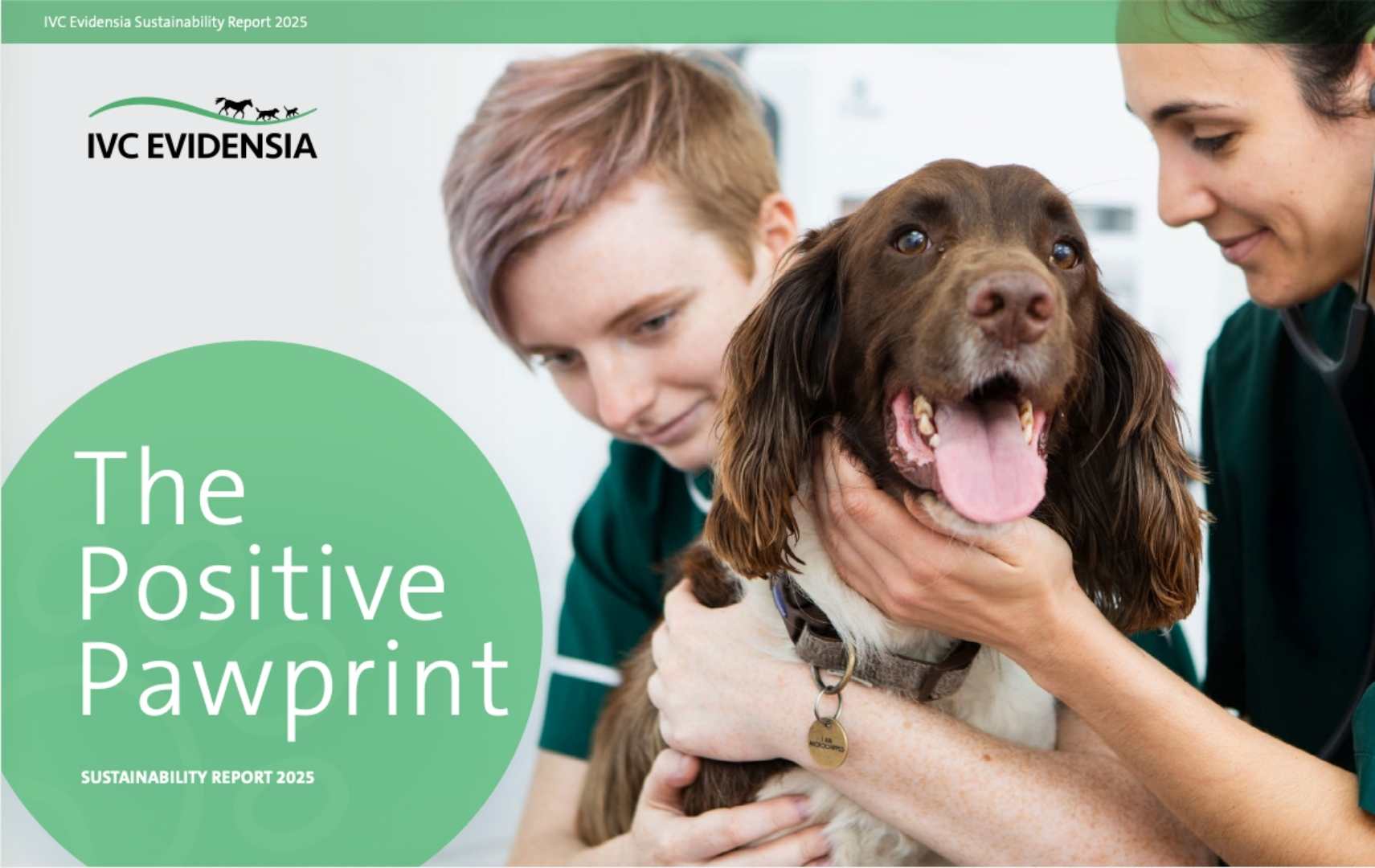 IVC Evidensia Sustainability Report 2024