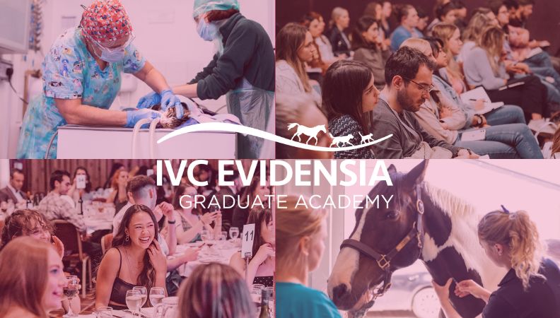 Join the IVC Evidensia Graduate Academy